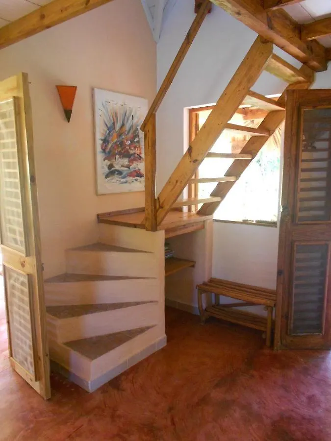 別荘 Palm-Covered House In The Tropical -Casa Oli ラス・ガレラス ドミニカ共和国
