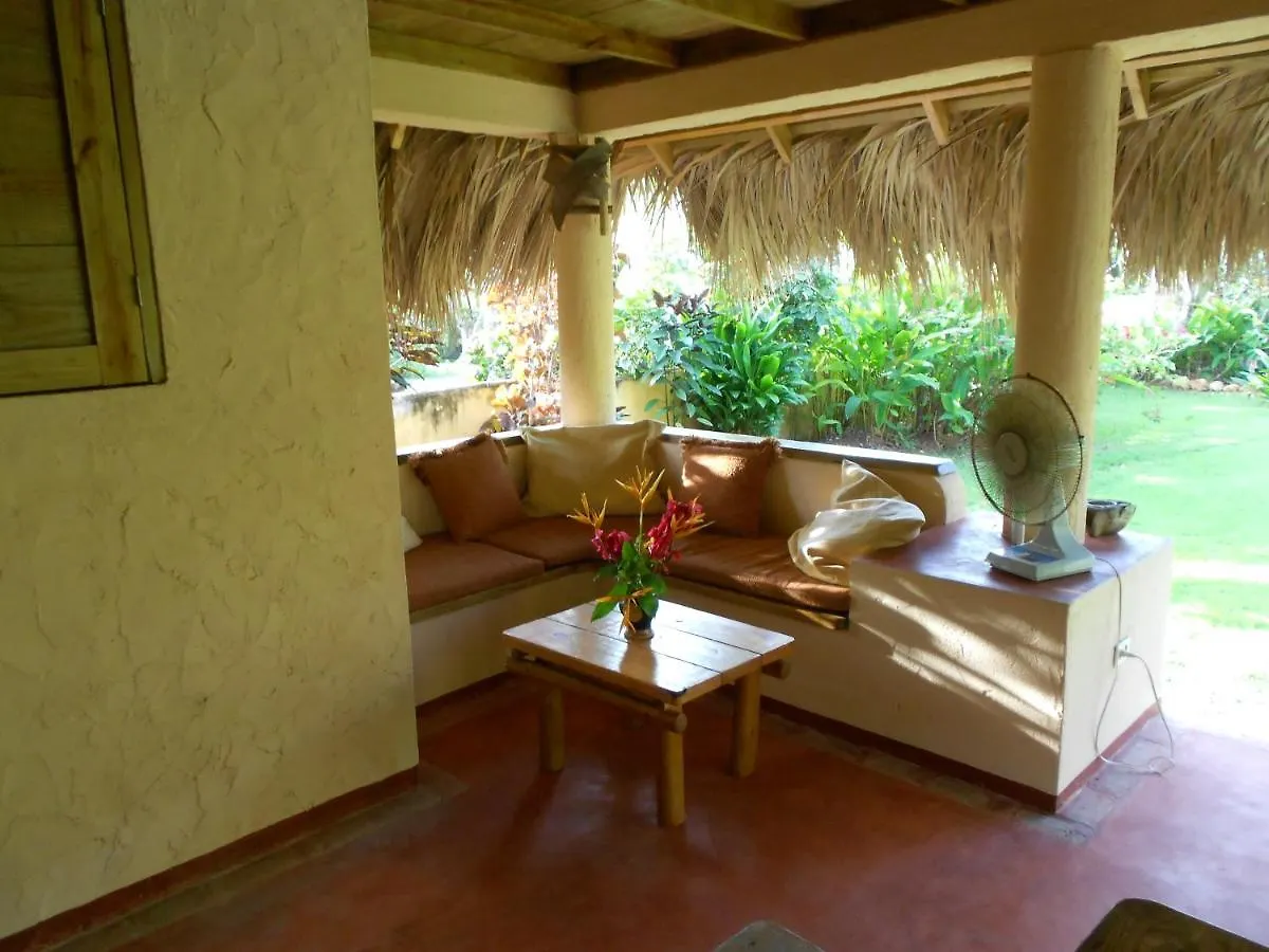 Palm-Covered House In The Tropical -Casa Oli ラス・ガレラス
