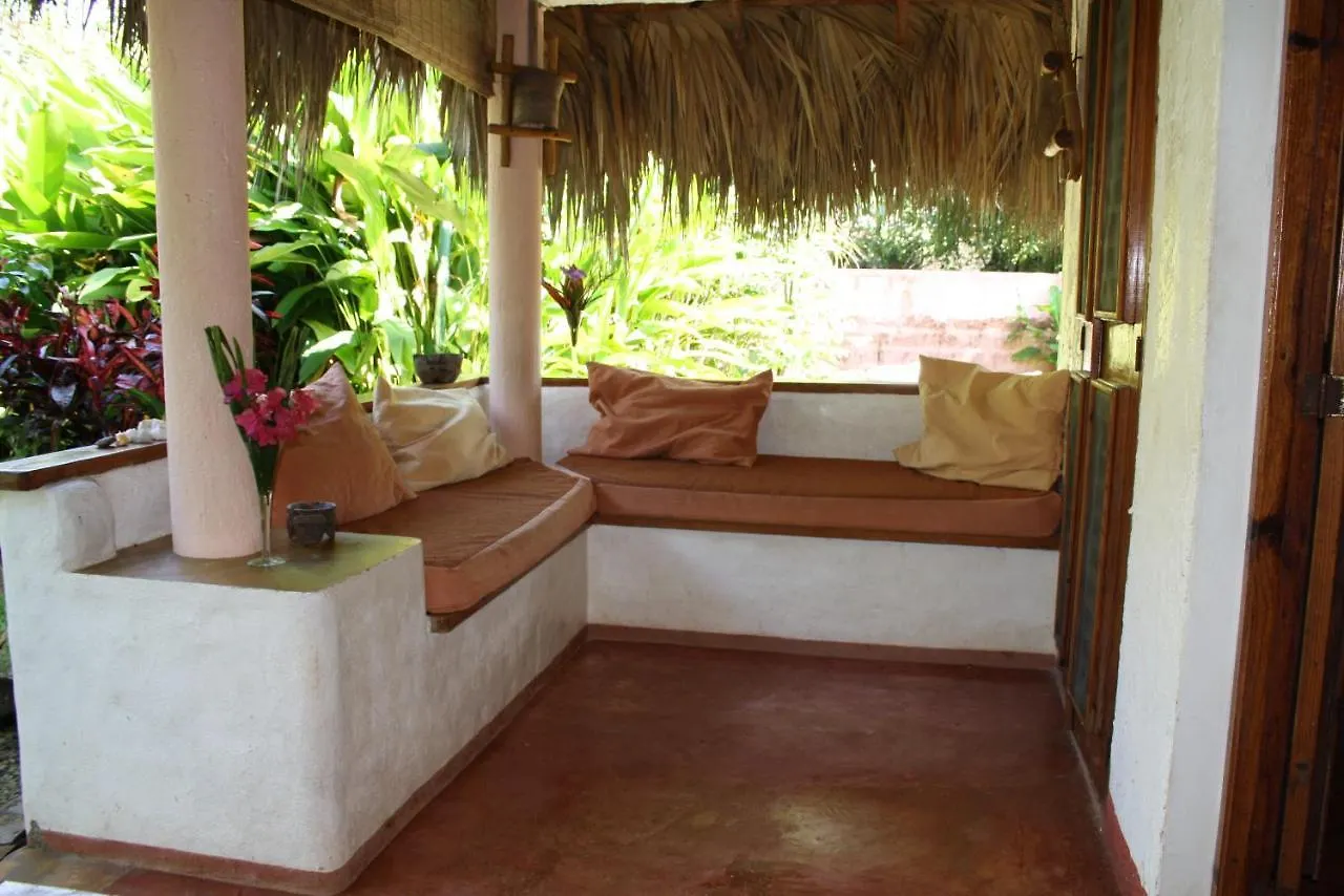 Palm-Covered House In The Tropical -Casa Oli ラス・ガレラス 別荘
