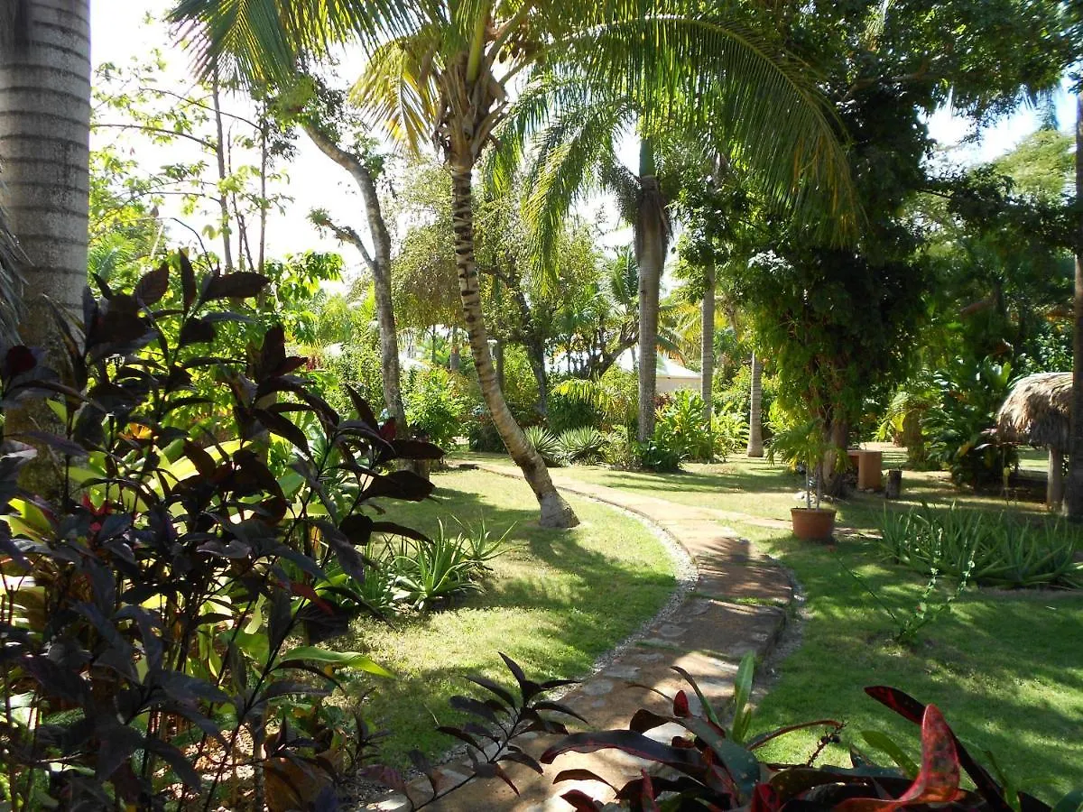 Palm-Covered House In The Tropical -Casa Oli ラス・ガレラス ドミニカ共和国